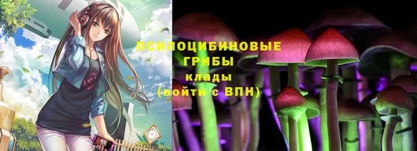 ПСИЛОЦИБИНОВЫЕ ГРИБЫ Краснослободск