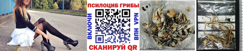 Псилоцибиновые грибы прущие грибы  Купить закладки  Яблоновский 