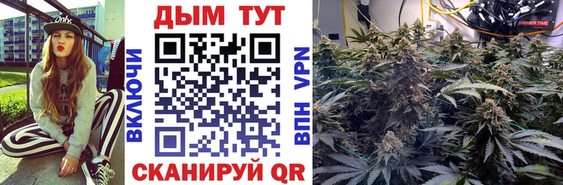 Купить закладки  Яблоновский  Конопля семена 